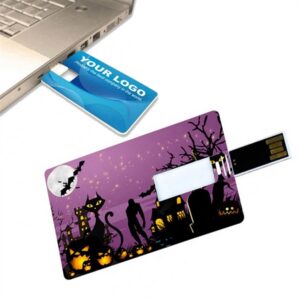 USA Decorated USB Flash Drives Credit Card USB Drive