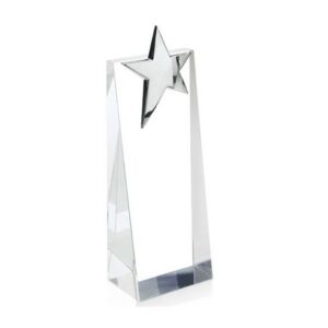 Zenith Award - Vertical Medium