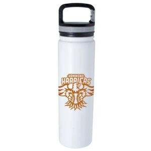 Vacuum Insulated Bottle with Carabiner Lid-26 oz.