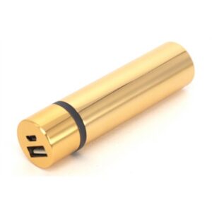 Chesapeake Power Bank