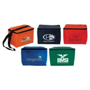 6 Pack Cooler Bag