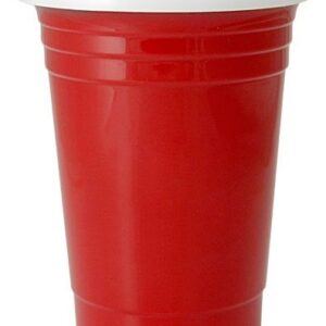 16 oz. Double Wall Insulated "Party" Plastic Cup