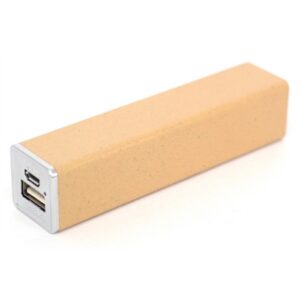 Recycled Tolstoy Power Bank