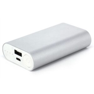 Amistad Power Bank