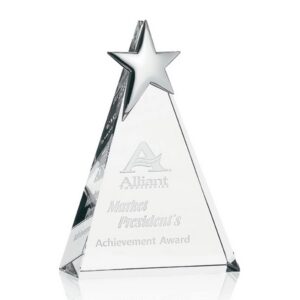 Zenith Award - Large