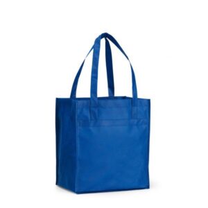 Deluxe Grocery Shopper